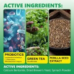 Dental Care Powder Factory - OEM Green Tea Extract Plaque Control