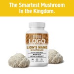 Lion's Mane Capsules Factory - OEM Nootropics Brain Memory Safe