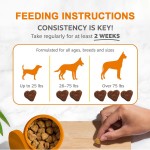 Gut Health Chews Supplier - OEM Probiotics Anti Allergy Pet Digestive