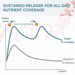 Vitamin B Complex Tablets Factory - OEM Body Health Mineral Supplement