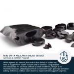 Shilajit Capsules Manufacturer - OEM Energy Boosting Immune Support