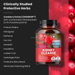 Kidney Detox Capsules Manufacturer - OEM 500mg Cranberry Cleanse Herbal