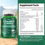 Chlorophyll Gummies Factory - OEM Sugar Free Detox Immune