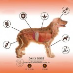 Multivitamin Chews Factory - OEM Mineral Soft Chews Pet Health