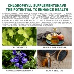 Chlorophyll Gummies Factory - OEM Sugar Free Detox Immune