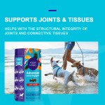 Hip Joint Chews Supplier - OEM Glucosamine Chondroitin Pet Care