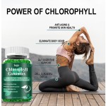 Chlorophyll Gummies Factory - OEM Sugar Free Detox Immune
