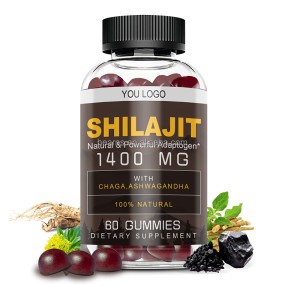 Shilajit Gummies Factory - OEM Premium Minerals Fudge Supplement