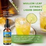 Mullein Leaf Drops Supplier - OEM Lung Detox Cleanse Herbal