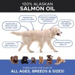 Omega 3 Chews Manufacturer - OEM Fish Oil Skin Coat Pet Nutrition