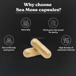 Sea Moss Capsules Supplier - OEM Black Seed Oil Ashwagandha Adult