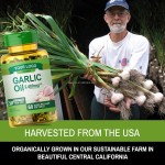 Prostate Softgels Manufacturer - OEM Multivitamin Garlic Oil Men