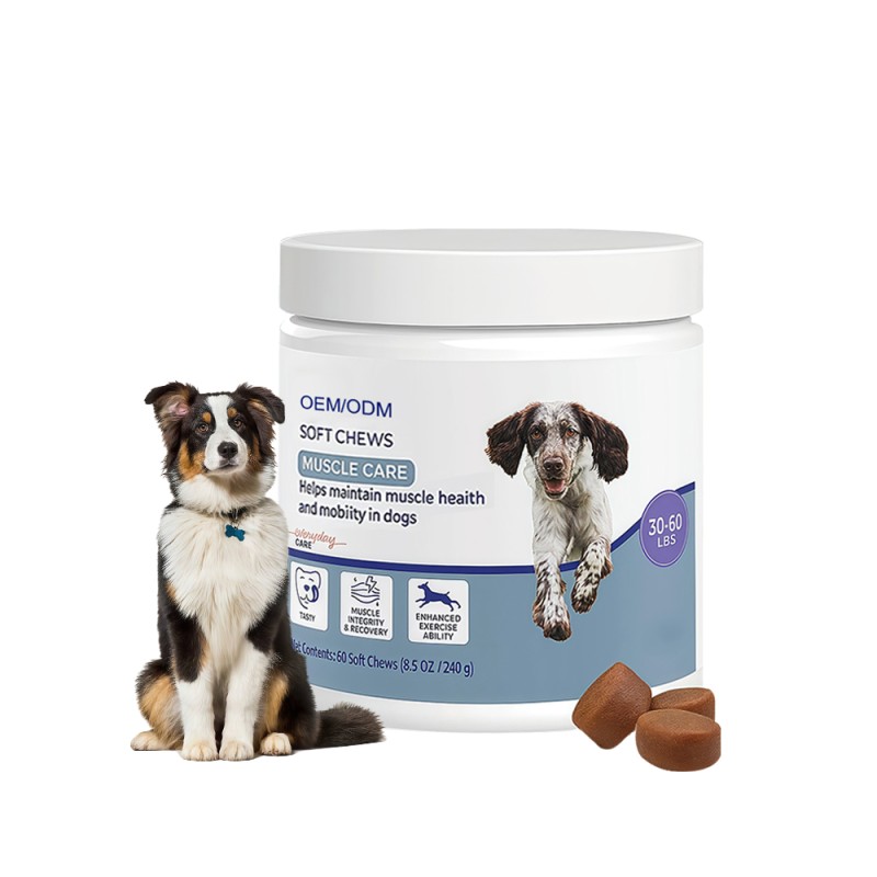 Muscle Building Chews Supplier - OEM Dog Supplement Gain Health Care