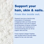 Marine Collagen Powder Supplier - OEM Drink Peptides Skin Whitening