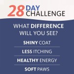 Omega 3 Chews Manufacturer - OEM Fish Oil Skin Coat Pet Nutrition