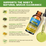 Mullein Leaf Drops Supplier - OEM Lung Detox Cleanse Herbal