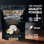 Shilajit Powder Factory - OEM Organic Natural GMP Certified