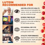 Eye Supplement Gummies Manufacturer - OEM Vitamin C Elderberry Zinc