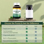 Blue Spirulina Tablets Supplier - OEM Phycocyanin Powder Beauty