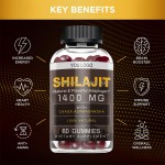 Shilajit Gummies Factory - OEM Premium Minerals Fudge Supplement