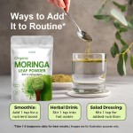 Moringa Powder Manufacturer - OEM Organic Leaf Extract Vegan