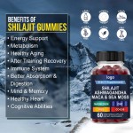 Shilajit Gummies Manufacturer - OEM 8 in 1 Sea Moss Vitamins