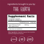 Beetroot Capsules Manufacturer - OEM Red Beet Energy Blood Health