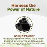 Shilajit Powder Factory - OEM Organic Natural GMP Certified