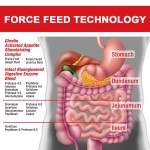 Appetite Booster Syrup Factory - OEM Weight Gain Stimulant Herbal