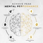 Nootropic Capsules Manufacturer - OEM L-Theanine Bacopa Focus Memory