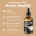 Lion's Mane Drops Manufacturer - OEM Mushroom Extract Brain Boost