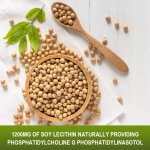 Soy Lecithin Softgels Supplier - OEM Natural Extract Adult Supplement