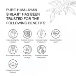 Shilajit Gummies Supplier - OEM Organic Gold Fudge Adult