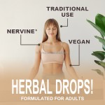 Lion's Mane Drops Manufacturer - OEM Mushroom Extract Brain Boost