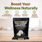 Shilajit Powder Factory - OEM Organic Natural GMP Certified