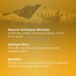 Shilajit Gummies Factory - OEM Premium Minerals Fudge Supplement