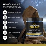 Shilajit Gummies Factory - OEM Premium Minerals Fudge Supplement