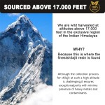 Shilajit Resin Paste Factory - OEM 100% Pure Fulvic Acid