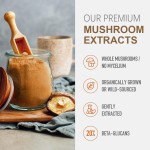 Lion's Mane Powder Manufacturer - OEM Mushroom Extract Brain Power