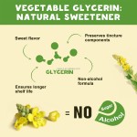 Mullein Leaf Drops Supplier - OEM Lung Detox Cleanse Herbal