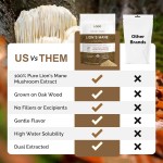 Lion's Mane Powder Manufacturer - OEM Mushroom Extract Brain Power