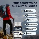 Shilajit Gummies Manufacturer - OEM Gold Fulvic Acid Mineral