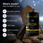 Shilajit Gummies Supplier - OEM Organic Gold Fudge Adult