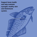 Cod Liver Oil Capsules Factory - OEM Vegan Fish Oil Heart Health