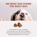 Anti Itch Chews Manufacturer - OEM Dog Allergy Relief Skin Care