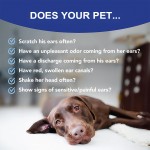 Yeast Infection Drops Manufacturer - OEM Anti Inflammatory Ear Skin