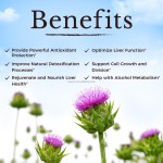 Milk Thistle Capsules Supplier - OEM Herbal Cholesterol Liver Detox