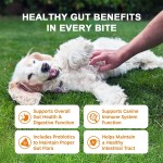 Gut Health Chews Supplier - OEM Probiotics Anti Allergy Pet Digestive