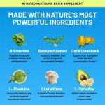 Nootropic Capsules Manufacturer - OEM L-Theanine Bacopa Focus Memory