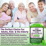 Sea Moss Gummies Factory - OEM Black Seed Oil Shilajit Strength